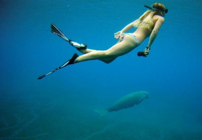 Meet the Dugong - Fascinating opportunity with OceansWatch © Chris Bone